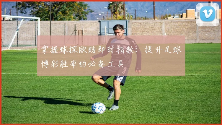 掌握球探欧赔即时指数：提升足球博彩胜率的必备工具
